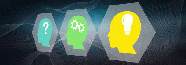 15 نکته راهنمای شناخت طوطی اکلکتوس: گونه کمیاب و سخنگو