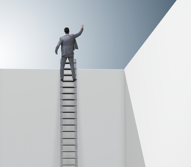 همه چیز درباره گربه‌های DSH: شانزده نکته جذاب!